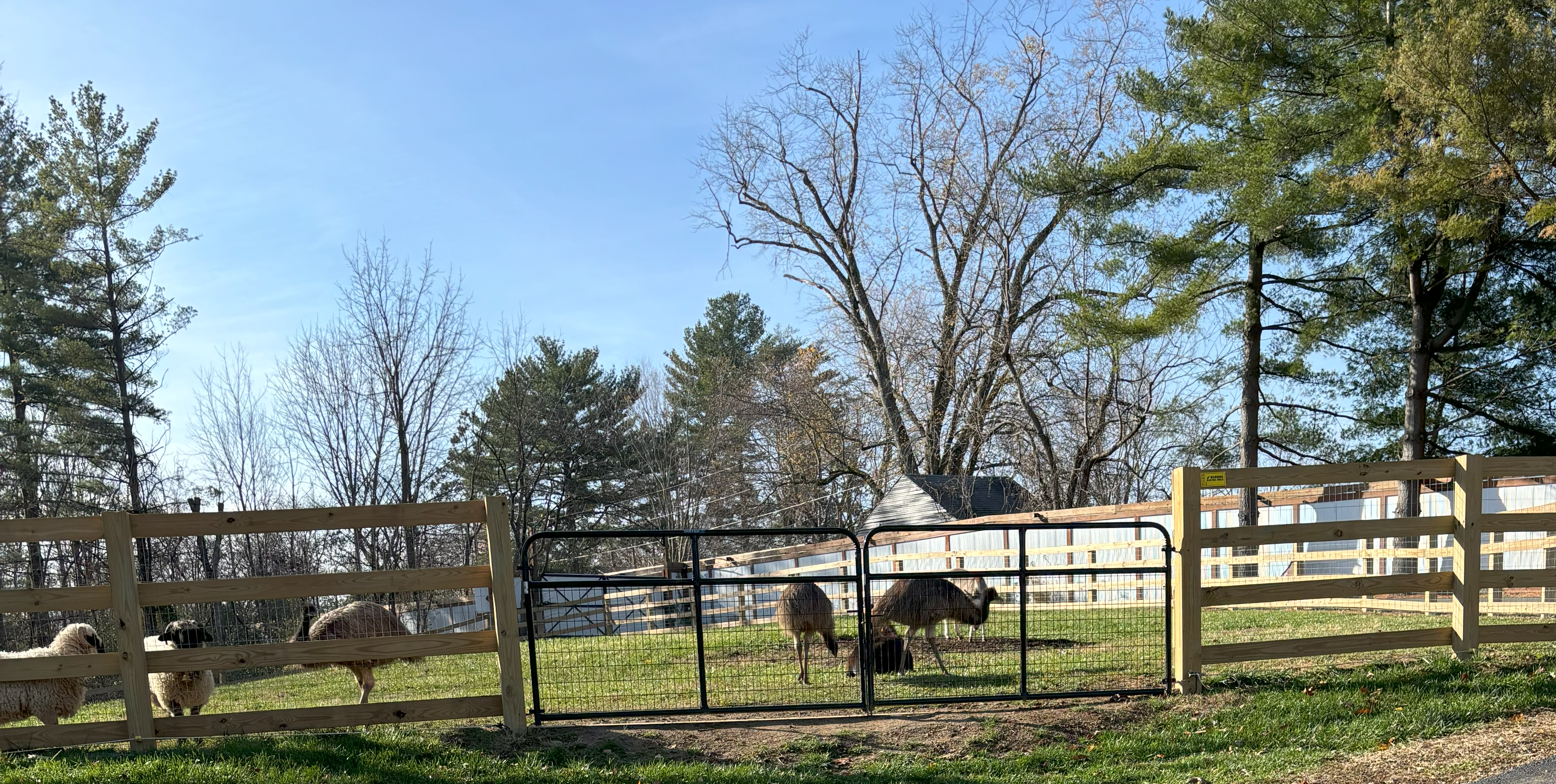 Pasture structure and property support work in Indiana